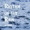 Jan Pouska - Rhythm of the Rain - Single